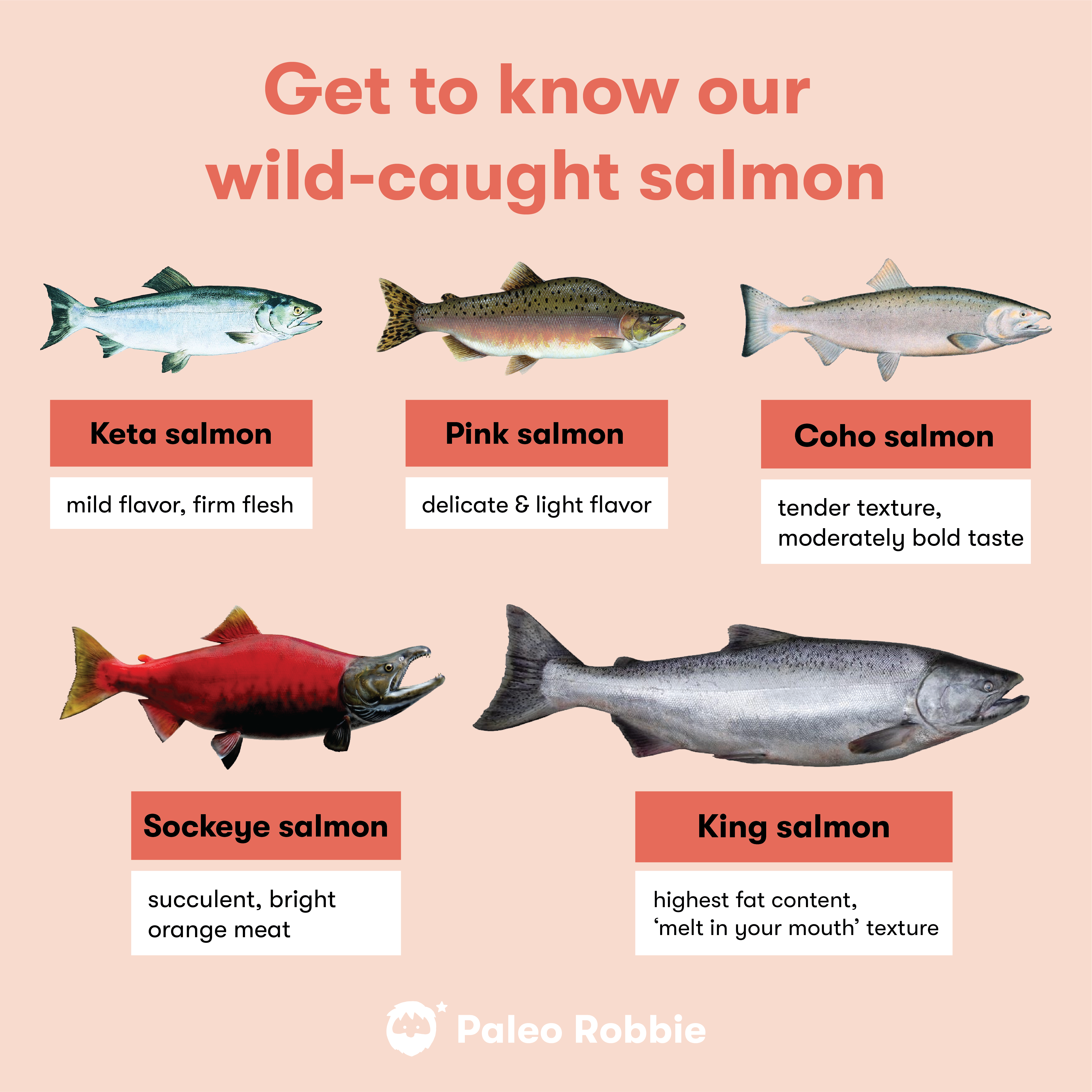 Wild Sockeye Salmon Fillet